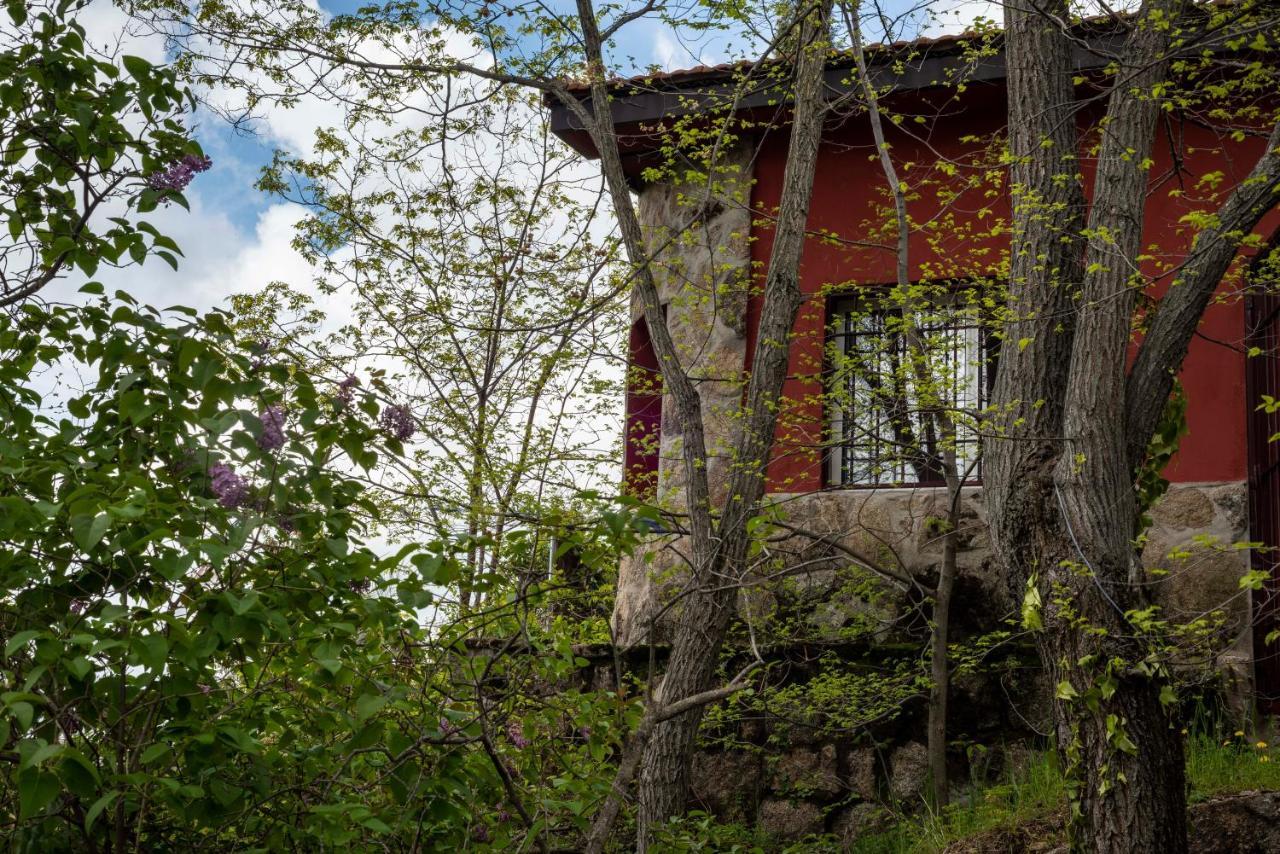 הוילה Zarzalejo Casita En La Sierra מראה חיצוני תמונה