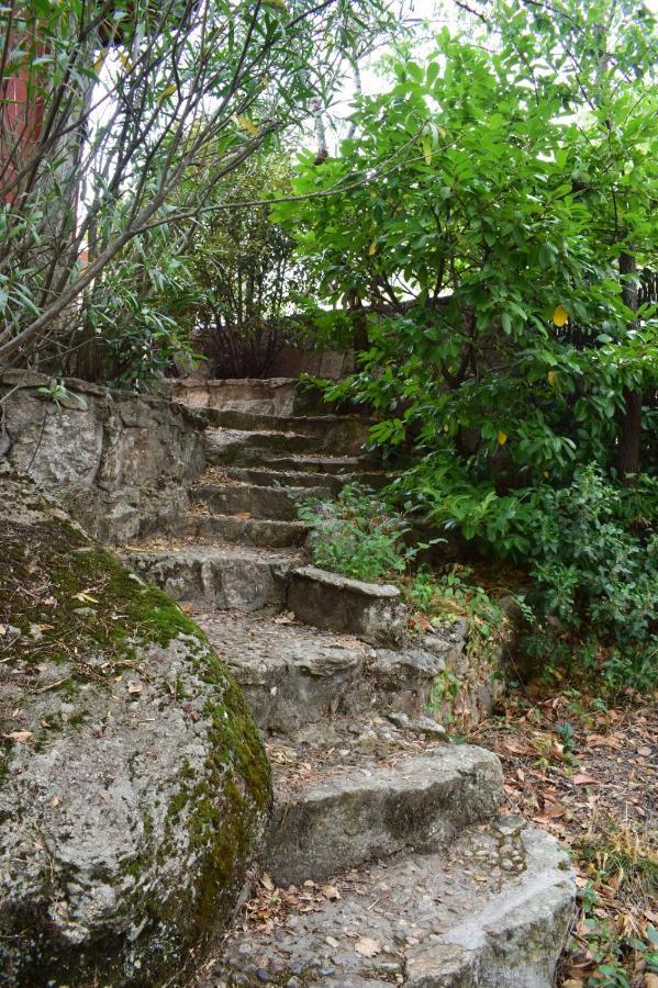 הוילה Zarzalejo Casita En La Sierra מראה חיצוני תמונה